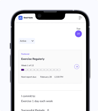 Goal Hyke Dashboard Preview